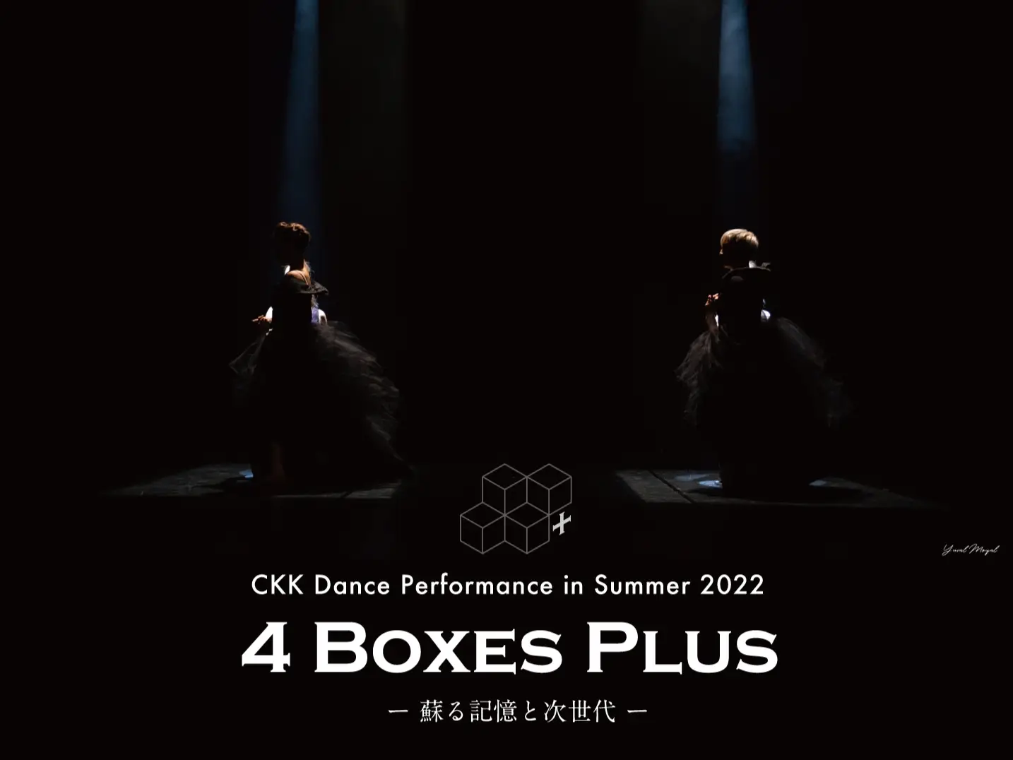 CKK 4Boxes Plus